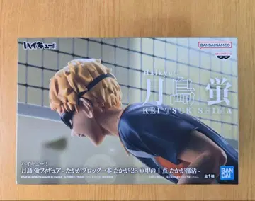 하이큐 츠키시마 케이 피규어