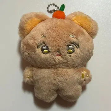 SEVENTEEN 10cm 인형 봉제 인형 animalteen 승관