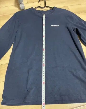 Patagonia 롱티