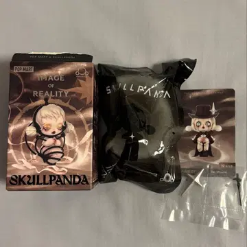 SKULLPANDA Image Of Reality
