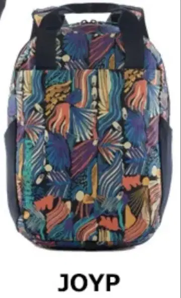 patagonia 파타고니아 아톰 토트팩 JOYP 20L 백팩