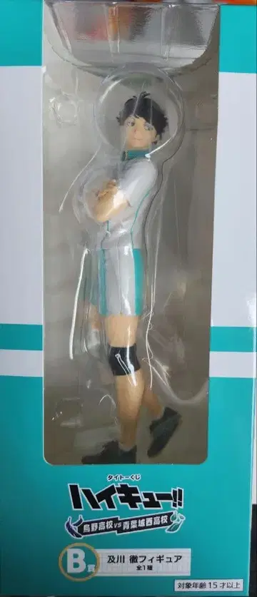 다이토 복권 오이카와 토오루