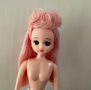 리카짱 캐슬 리카짱
