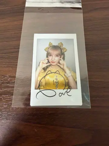 하야세 노엘 폴라로이드