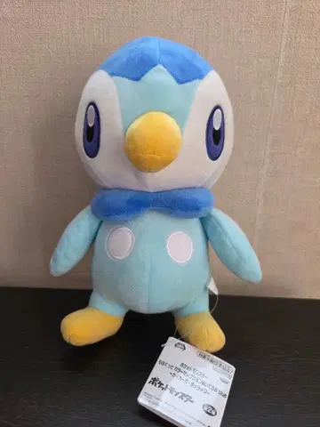 포켓몬스터 모후굿토 컬러 봉제 인형 팽도리