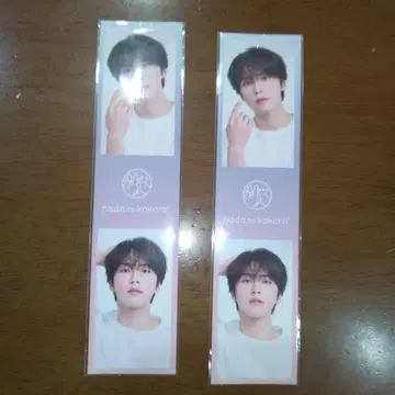 JO1 코노 준키 hadatokokoro 스티커 2장