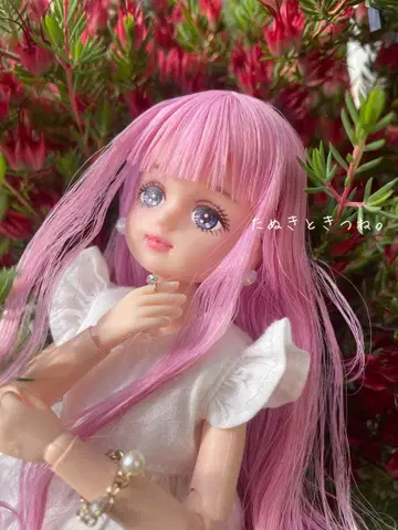 커스텀 인형 22cm 라일락 메이 라벤더 x 핑크 팔레트f