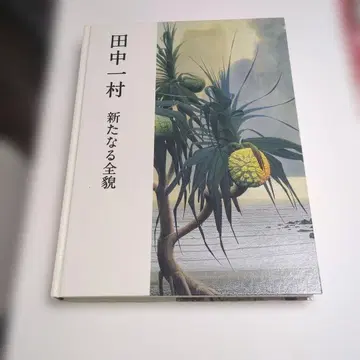 다나카 잇손 새로운 전모