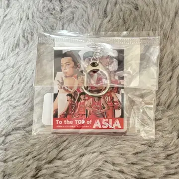 아카츠키 재팬 굿즈