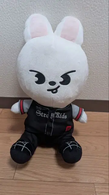 Stray Kids Leeknow Leebit