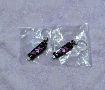 새상품 가면라이더 메지루시 액세서리 가면라이더 W 스컬 메모리 2개