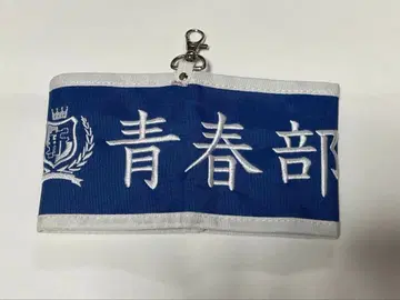 새로운 학교의 리더즈 청춘부 완장