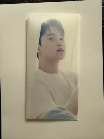 디오 D.O. (EXO) BLOOM 티켓 홀더