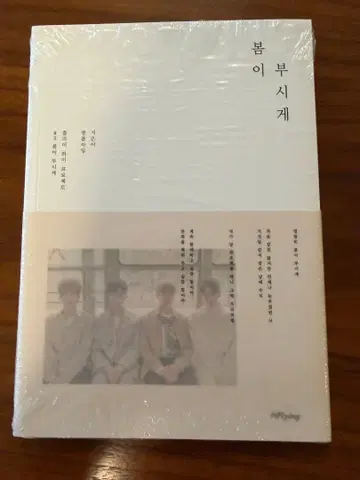 N.Flying 봄이 부시게 앨범