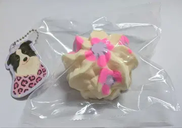 스퀴즈 돈돈 크림형