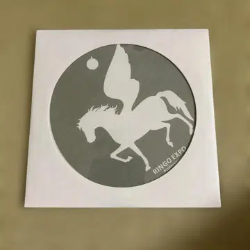 시이나 링고 RINGO EXPO 프로페셔널 아카데믹 2014 DVD