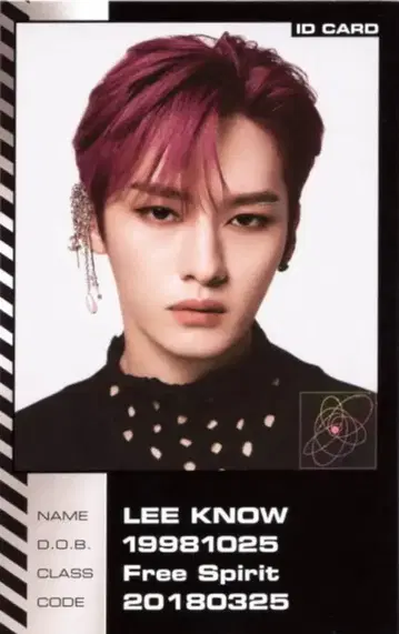 StrayKids ODDINARY LeeKnow ID 카드