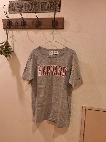 고품질 챔피온 T1011 그레이 [ HARVARD ] 로고 남성용 M