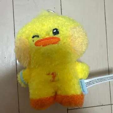 테니니 제베원 zeroni