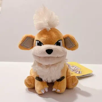 윈디 포켓몬핏 봉제 인형 pokemonfit
