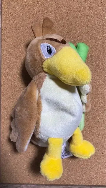 카모네기 포켓몬핏