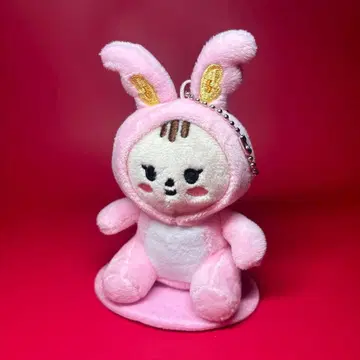 세븐틴 미니틴 라무 키링 정한