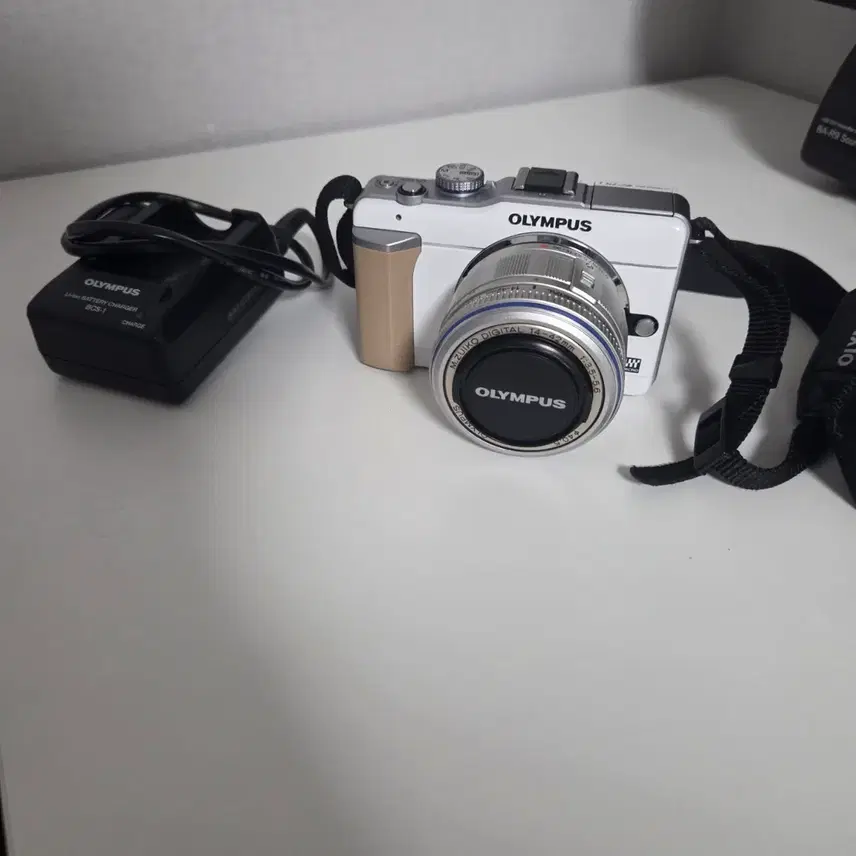 올림푸스 PEN E-PL1 미러리스카메라