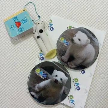 오가 수족관 북극곰 모모타
