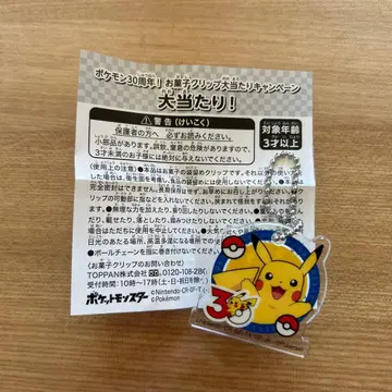 포켓몬 30주년 피카츄 아크릴 키링
