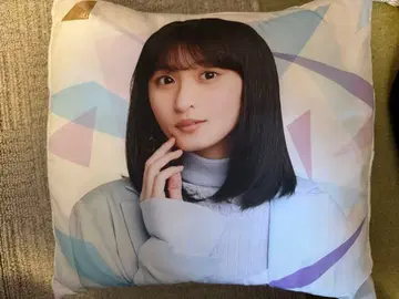 사카미치 시리즈 아이돌 쿠션 커버