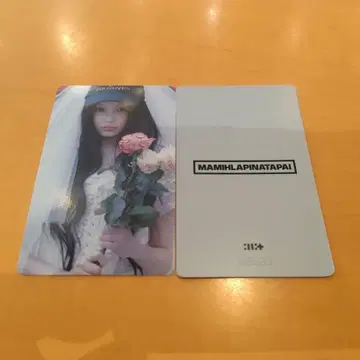 원희 ILLIT MAMIHLAPINATAPAI TSUTAYA 혜택
