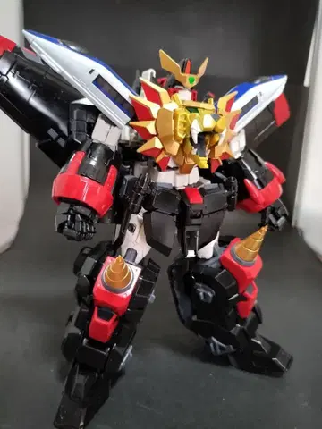 RG 가오가이거