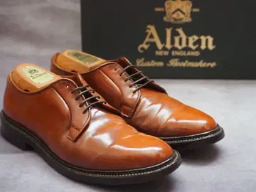 [ 새상품급 ] Alden 9900 라베로 코도반 8D 알든 레어 컬러