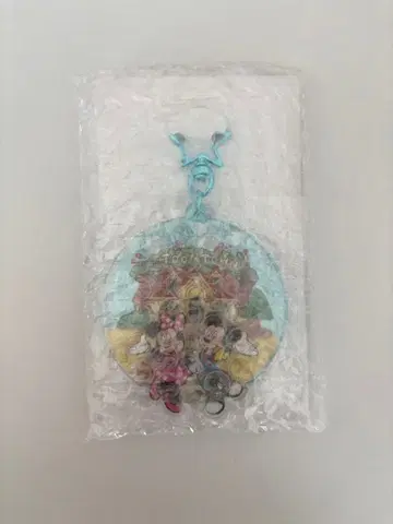 도쿄 디즈니랜드 43주년 키체인 시크릿