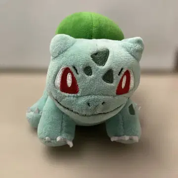 이상해씨 봉제 인형 약 20cm
