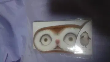 파이널 판타지14 FF14 파이사 안대