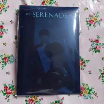 D x S 도겸 승관 selenade 일본 한정판 city ticket