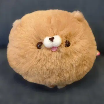 모찌모후! 포메라니안 챠챠마루