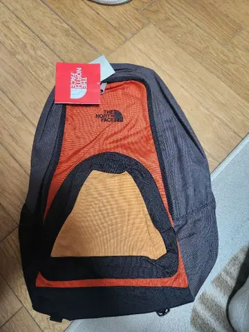THE NORTH FACE 백팩 오렌지 그레이