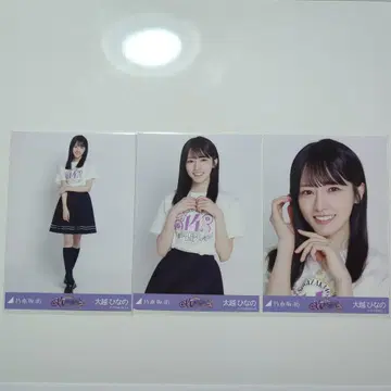 노기자카46 오오코시 히나노 14thBD 라이브 라이브T셔츠 컴프