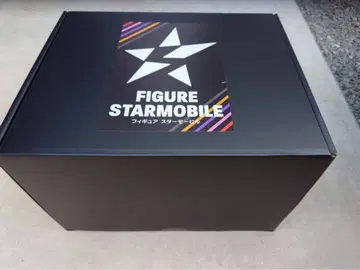 포켓몬 악당 일당 FIGURE STARMOBILE 피규어 박스