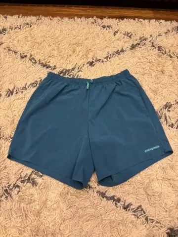 Patagonia 하프 팬츠