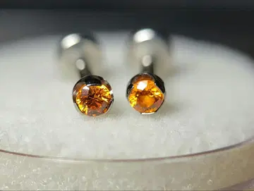Anatometal 프롱 2.5mm 스트레이트 바벨 세트