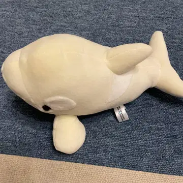 나고야항 수족관 범고래 봉제 인형
