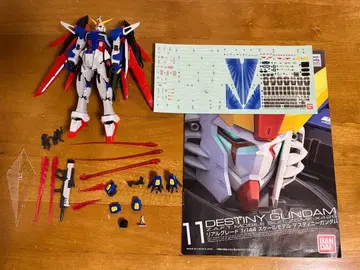 RG 데스티니 건담