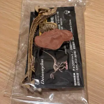 초코라자우르스 디노니쿠스 골격 개봉 새상품
