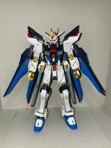 RG 스트라이크 프리덤 건담 조립품