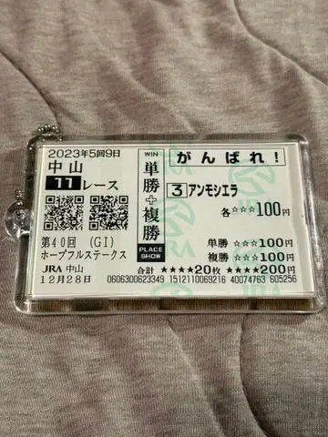 호프풀 스테이크스 안모시엘라 기념품
