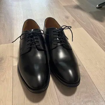 리갈 REGAL 26cm