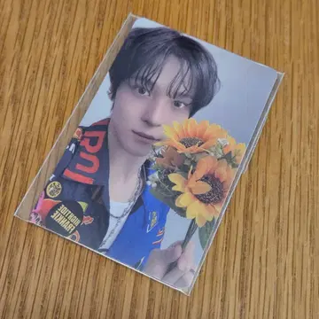 에이티즈 애니티즈 팝업 윤호 10만원 구매 특전 포카 ateez | 브랜드